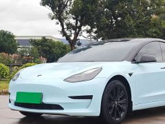Tesla Model 3 Standard Range RWD Upgrade 3D6 - ფოტო 14