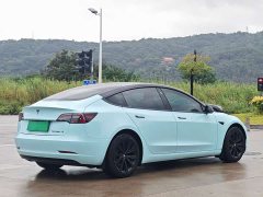 Tesla Model 3 Standard Range RWD Upgrade 3D6 - ფოტო 3