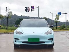 Tesla Model 3 Standard Range RWD Upgrade 3D6 - ფოტო 5