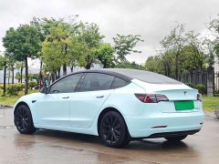 Tesla Model 3 Standard Range RWD Upgrade 3D6 - ფოტო 9