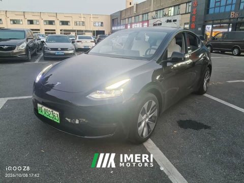 2021 Tesla Model Y Standard Range RWD - ავტომობილი ჩინეთიდან
