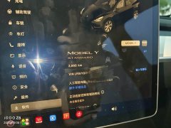Tesla Model Y Standard Range RWD - ფოტო 2