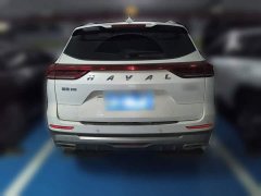 Haval H6 National Trend Edition 1.5T Automatic Urban Version - ფოტო 3