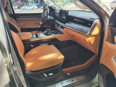 Tank 500 3.0T Sport Landscape 7-Seater - фото 8