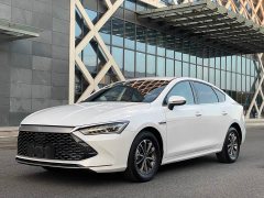BYD Qin PLUS Glory Edition DM-i 55KM Leading - ფოტო 1