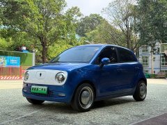ORA Black Cat 351km Luxury - ფოტო 1