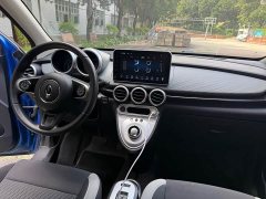 ORA Black Cat 351km Luxury - ფოტო 11