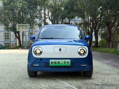 ORA Black Cat 351km Luxury - ფოტო 2