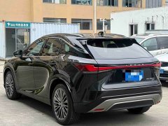 Lexus RX 2023 350h AWD Premium Edition - ფოტო 9