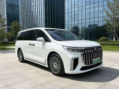 Voyah Dream PHEV Extended Range Luxury Edition - ფოტო 1