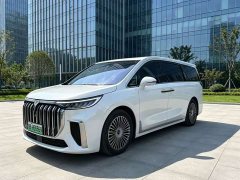 Voyah Dream PHEV Extended Range Luxury Edition - ფოტო 3
