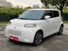 Ora White Cat Upgrade 305km Luxury Trim Ternary Lithium Battery - ფოტო 1