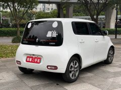 Ora White Cat Upgrade 305km Luxury Trim Ternary Lithium Battery - ფოტო 18
