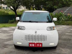 Ora White Cat Upgrade 305km Luxury Trim Ternary Lithium Battery - ფოტო 2