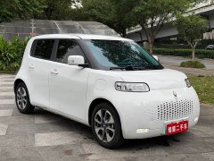 Ora White Cat Upgrade 305km Luxury Trim Ternary Lithium Battery - ფოტო 3