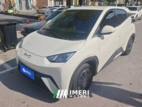 2024 BYD Seagull Glory Edition 305km Vitality Version - ავტომობილი ჩინეთიდან