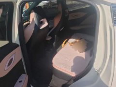 BYD Seagull Glory Edition 305km Vitality Version - ფოტო 11