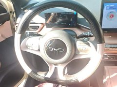BYD Seagull Glory Edition 305km Vitality Version - ფოტო 15