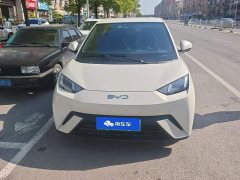 BYD Seagull Glory Edition 305km Vitality Version - ფოტო 2