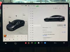Tesla Model 3 2023 Rear-Wheel Drive - ფოტო 16