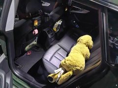 Audi A5 (Imported) Sportback 40 TFSI Fashion Dynamic Type - ფოტო 7