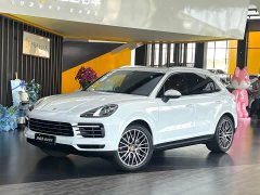Porsche Cayenne 2020 Cayenne 3.0T - ფოტო 1