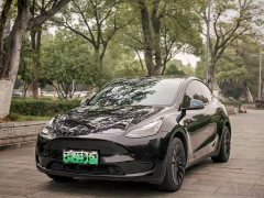 Tesla Model Y Rear-Wheel Drive - ფოტო 1