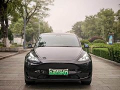 Tesla Model Y Rear-Wheel Drive - ფოტო 2