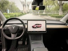 Tesla Model Y Rear-Wheel Drive - ფოტო 6