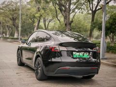 Tesla Model Y Rear-Wheel Drive - ფოტო 7