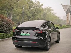 Tesla Model Y Rear-Wheel Drive - ფოტო 8