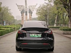 Tesla Model Y Rear-Wheel Drive - ფოტო 9