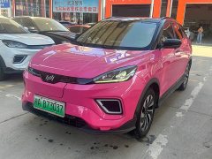Weltmeister WM Motor EX5-Z Lead Leading Edition - ფოტო 1