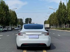 Tesla Model 3 2023 Rear-Wheel Drive - ფოტო 8