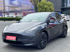 Tesla Model Y Long Range All-Wheel Drive - ფოტო 1