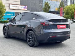Tesla Model Y Long Range All-Wheel Drive - ფოტო 11