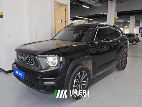 2024 Haval Big Dog PLUS 2023 1.5T Two-Wheel Drive Trendy Wilderness Edition Plus - ავტომობილი ჩინეთიდან