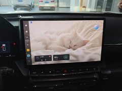Haval Big Dog PLUS 2023 1.5T Two-Wheel Drive Trendy Wilderness Edition Plus - ფოტო 13
