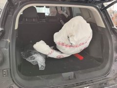 Haval Big Dog PLUS 2023 1.5T Two-Wheel Drive Trendy Wilderness Edition Plus - ფოტო 4