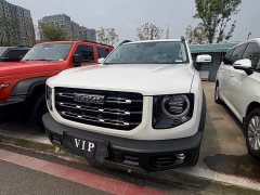 Great Wall Dachshund 1.5T DCT Two-Wheel Drive Husky Edition - ფოტო 1