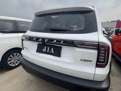 Great Wall Dachshund 1.5T DCT Two-Wheel Drive Husky Edition - ფოტო 17