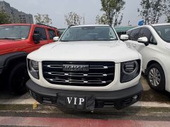 Great Wall Dachshund 1.5T DCT Two-Wheel Drive Husky Edition - ფოტო 2