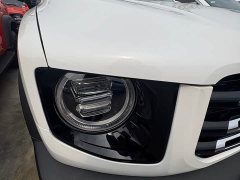 Great Wall Dachshund 1.5T DCT Two-Wheel Drive Husky Edition - ფოტო 3