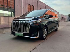Great Wall WEY Shanshan New Energy 2023 Four-Wheel Drive Flagship Edition - ფოტო 1