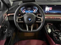 BMW 5 Series 530Li Luxury M Sport Package - ფოტო 9