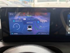Wuling Binguo 2023 333km Joy Edition - ფოტო 13