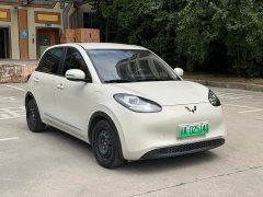 Wuling Binguo 2023 333km Joy Edition - ფოტო 3