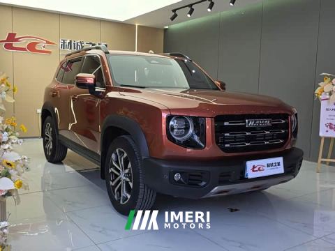 2022 Great Wall Dachshund 1.5T DCT Two-Wheel Drive Border Collie Edition