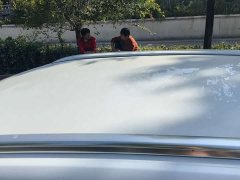BYD Song Pro New Energy DM-i 133KM Entry-Level - ფოტო 9