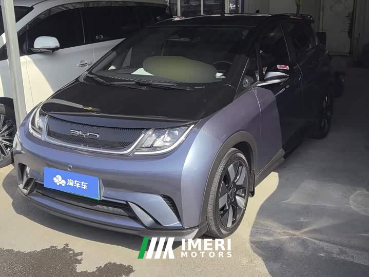 BYD Dolphin 401km Knight Edition - ავტომობილი ჩინეთიდან